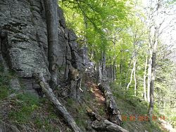 napriecslovenskomvz09.jpg