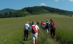 2014-krosna01.jpg