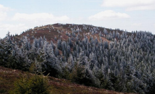 mincol1-2014.jpg