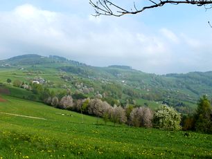 slovensko3201601m.jpg