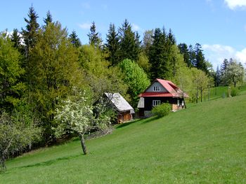 valassko2011m.jpg