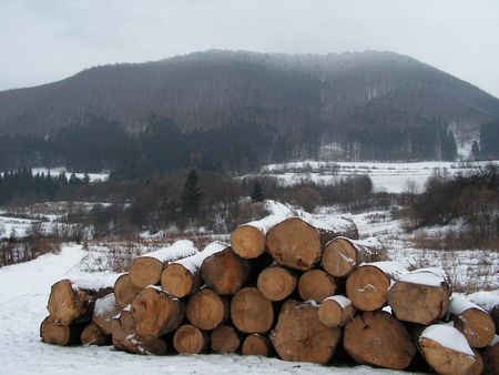 vreteno201001.jpg
