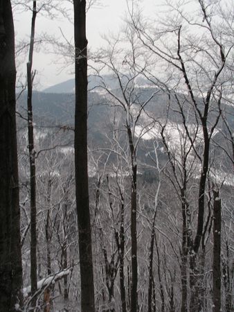 vreteno201001.jpg