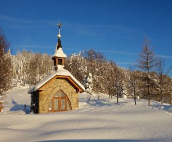 foto-pavelek1_original