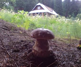 sudopark_klokocov_007_original