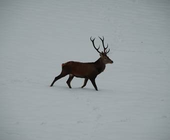 sudopark_klokocov_025_original