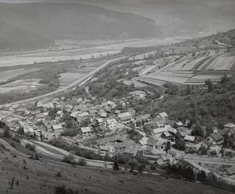 Povina v roku 1975