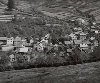 Povina v roku 1975