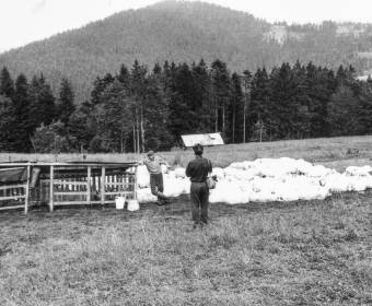 Salaš na Kyčierke, Riečnica, 1978