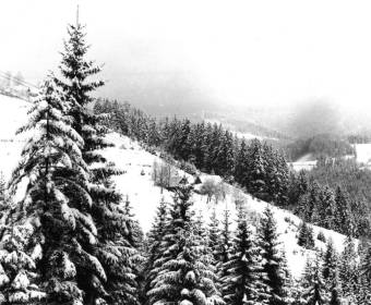 riecnica-harvelka-vychylovka-022_original