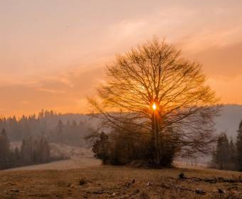 kysuce_fotografie_majakova_007_original