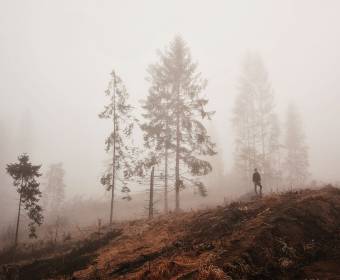 kysuce_fotografie_majakova_059_original