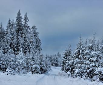 marii_zima_na_kysuciach2_original