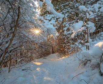 foto-viktor-juriga-010_original