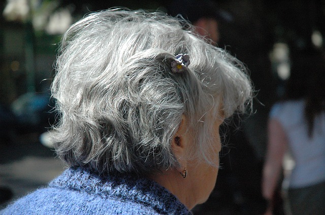 seniori