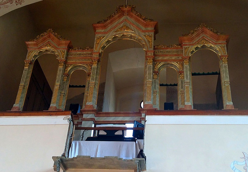 organ ochodnica