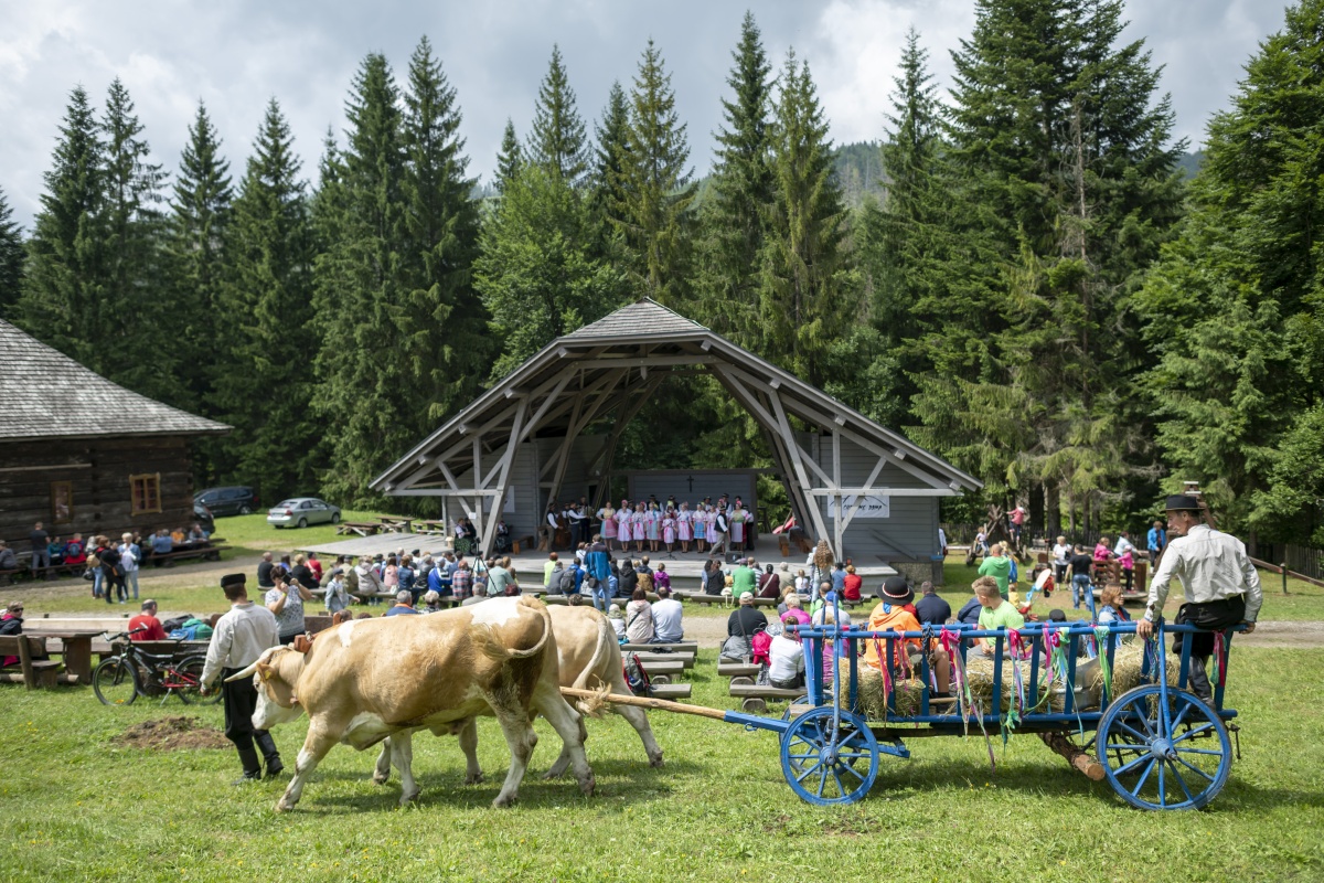 vychylovka chovatelsky den 2019 001