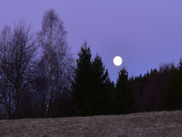 super pink moon
