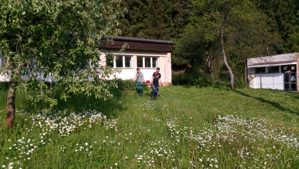hasici kosenie 04