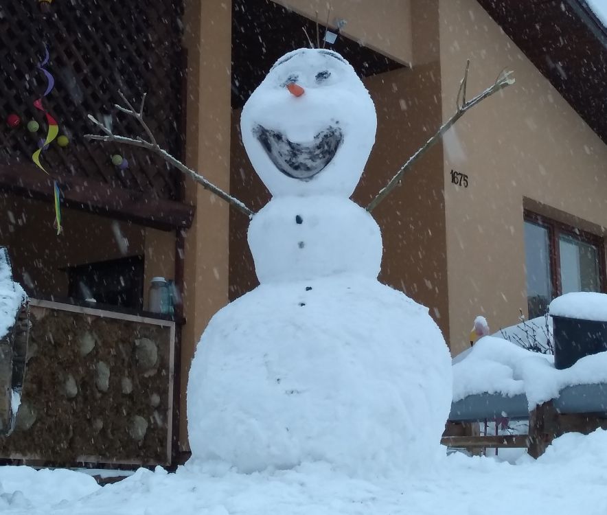 olaf2