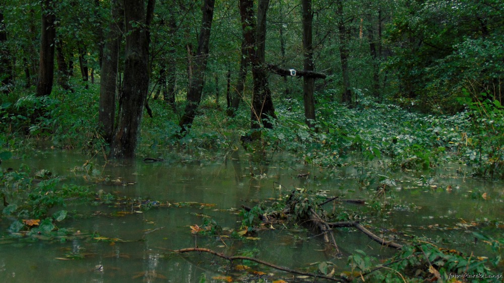 šeríkuv park 2020 velka