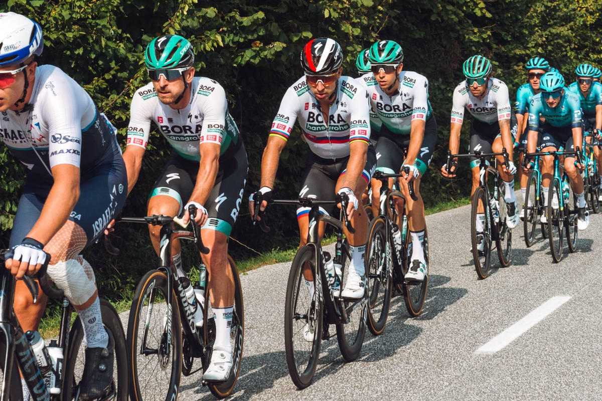 sagan