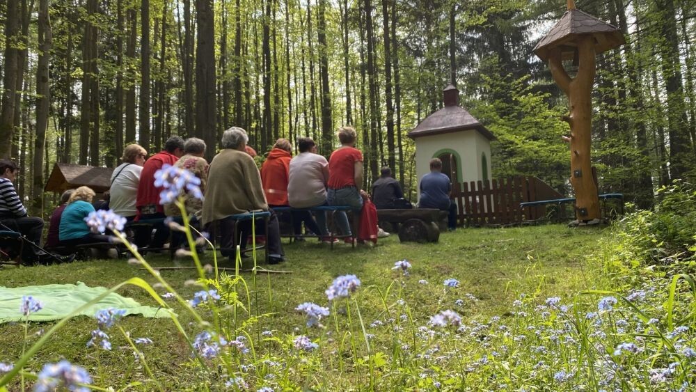 ruzencova cesta vysoka 010
