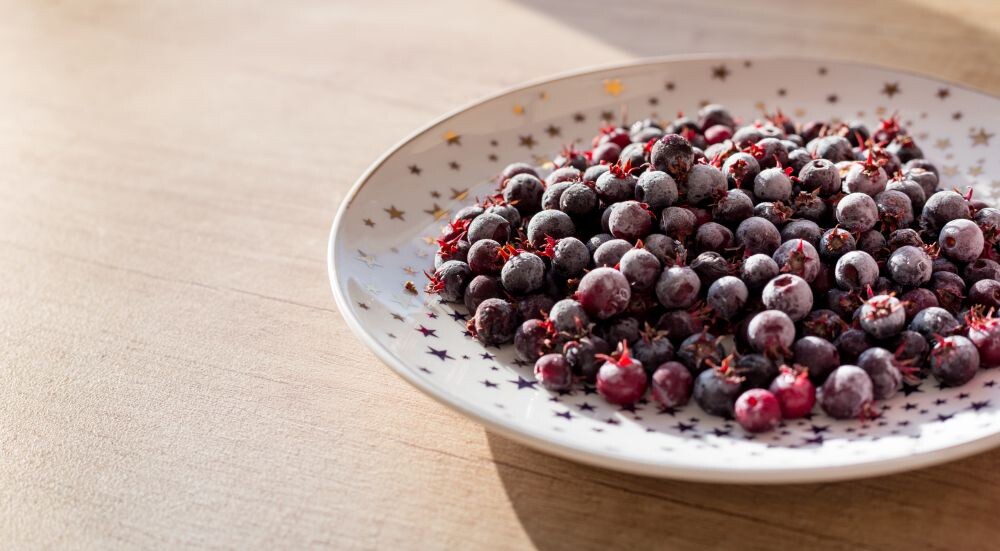 Frozen shadberry berries on a plate close-up. The concept of a healthy lifestyle, proper nutrition, vegetarianism. Freezing and storage of food. Banner, copy space.