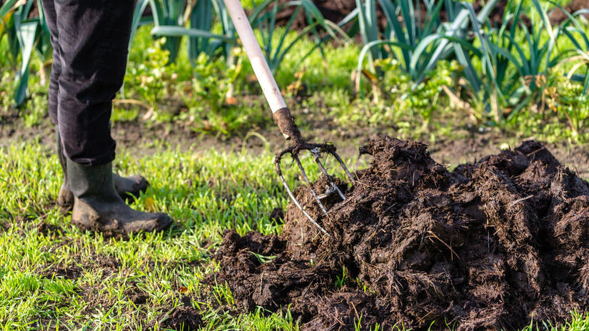 zahrada prace jesen 004