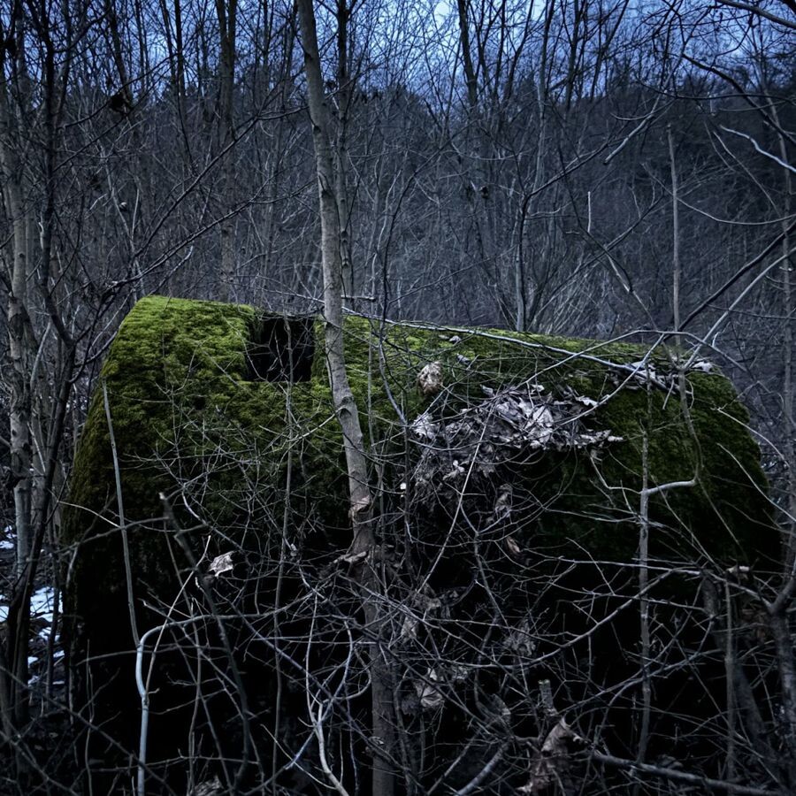 bunker staskov11