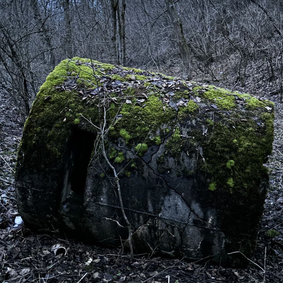 bunker staskov13