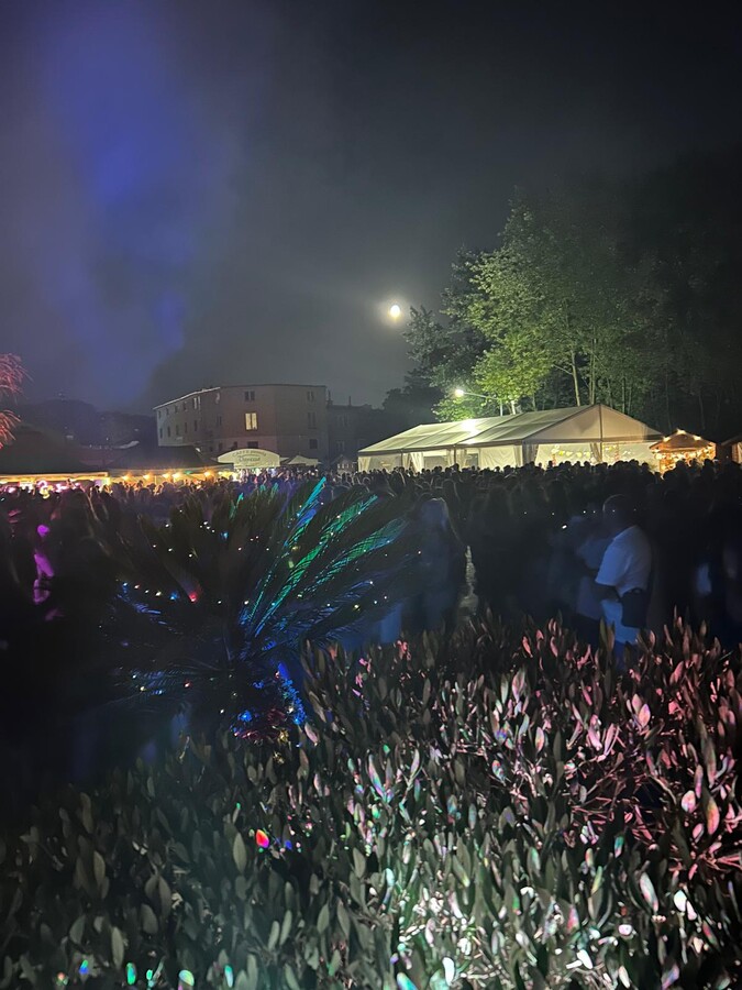 tropicka noc05