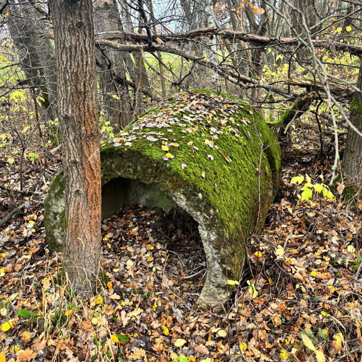 bunkre oscadnica11