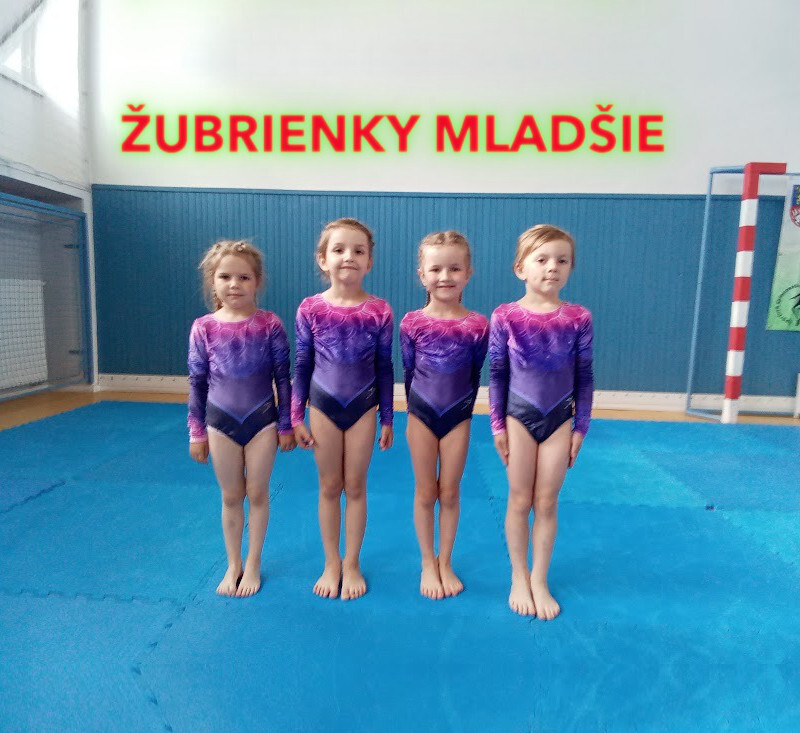 gymnastky4