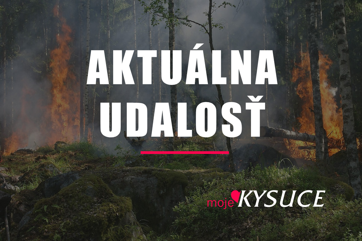 aktualna pozair lesa