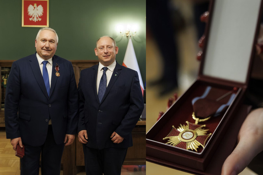 ocenenie golis v