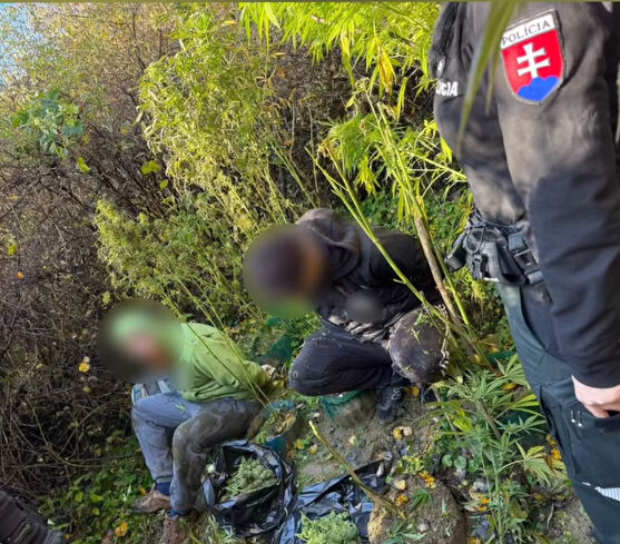 krimi policia1