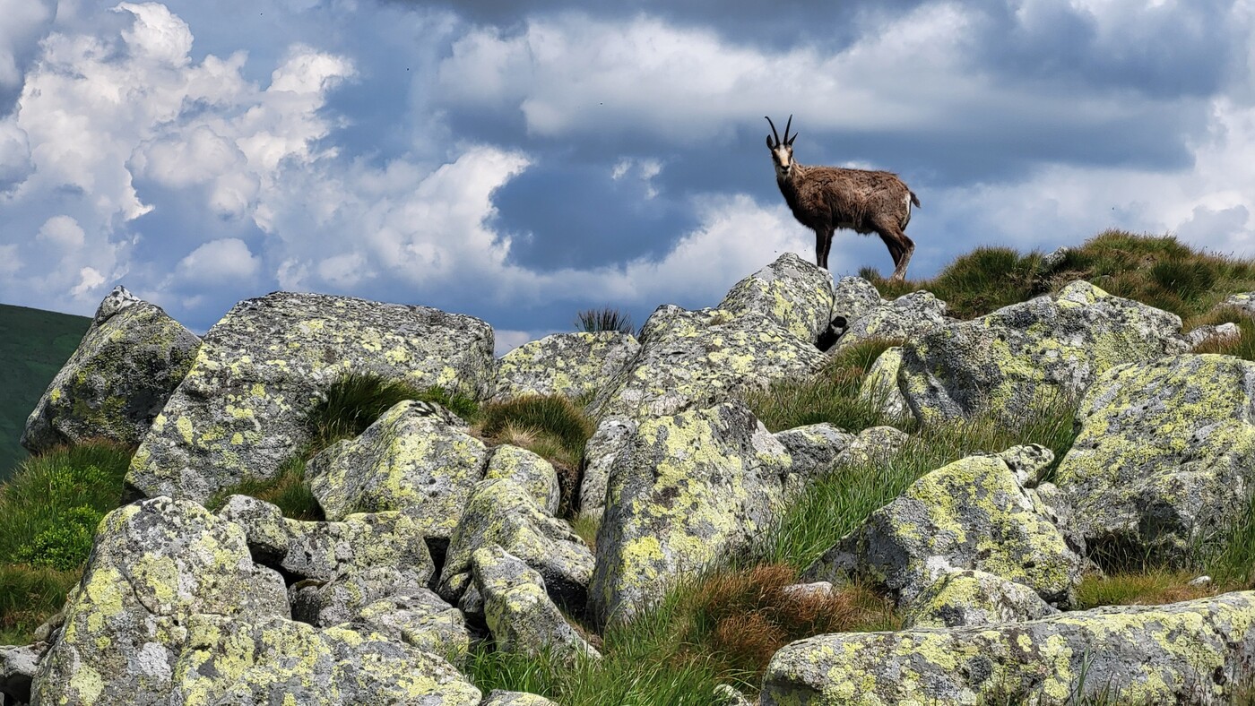 019tatry