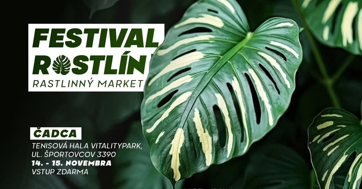 festival rastlin2