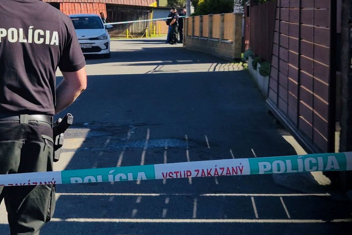 policia inspekcia