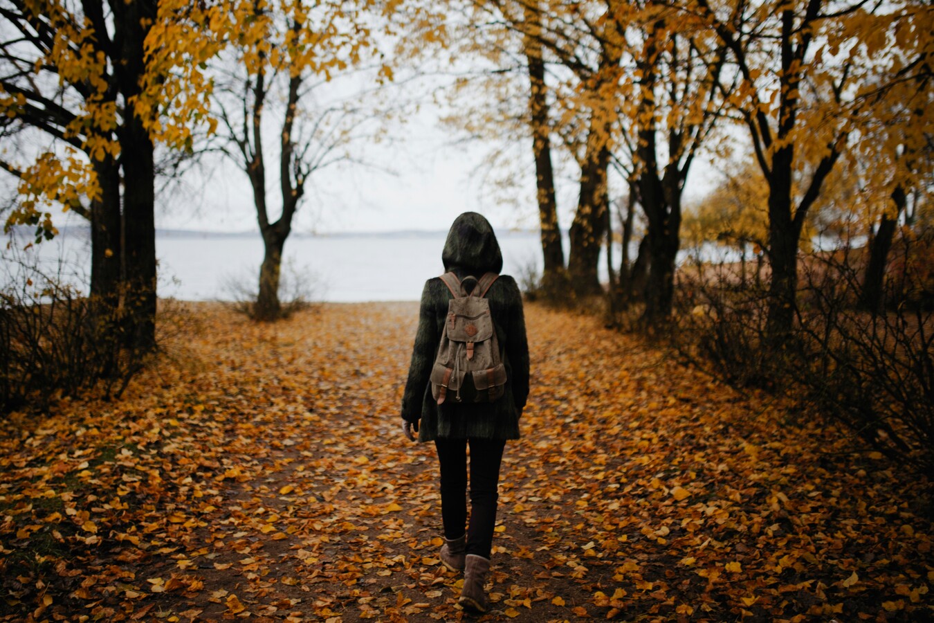 jesen unsplash