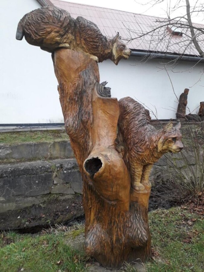 ostravica 038